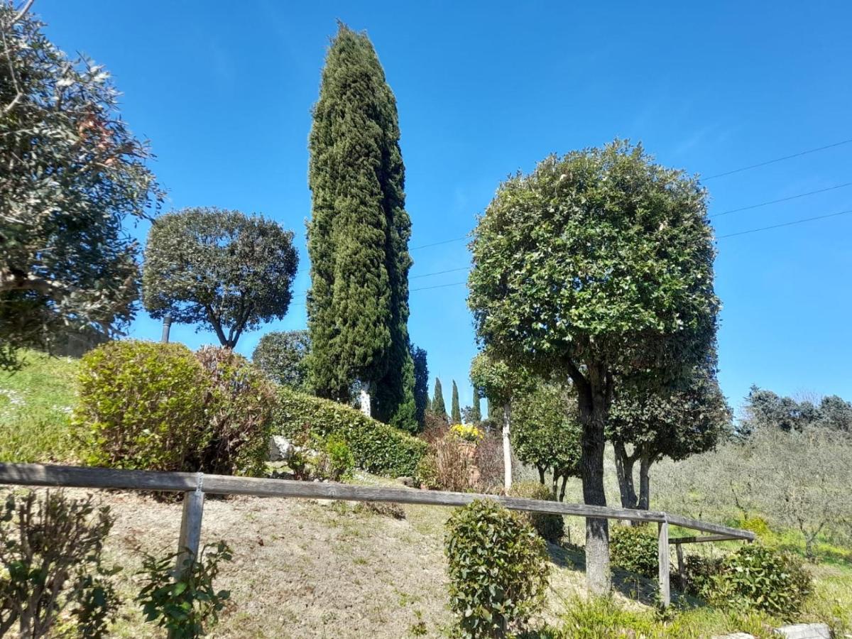 Villetta Dei Lecci カステルフィオレンティーノ エクステリア 写真